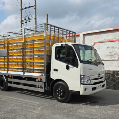 Xe tải thùng chở gia cầm Hino 300 Series XZU730